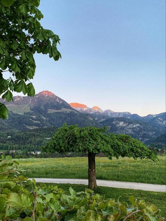 Pension Kohlhiasl Schönau am Königssee Zewnętrze zdjęcie
